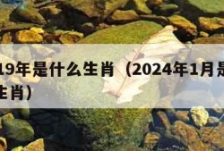 2019年是什么生肖（2024年1月是什么生肖）