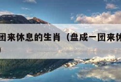 盘成一团来休息的生肖（盘成一团来休息的生肖图片）