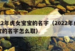 2022年虎女宝宝的名字（2022年虎女宝宝的名字怎么取）