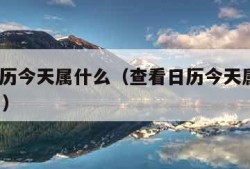 查看日历今天属什么（查看日历今天属什么12月9日）