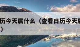 查看日历今天属什么（查看日历今天属什么12月9日）