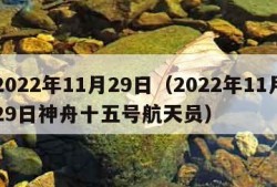 2022年11月29日（2022年11月29日神舟十五号航天员）