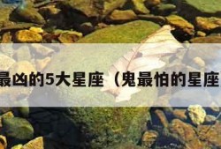 最凶的5大星座（鬼最怕的星座）