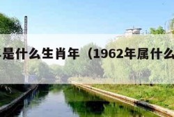 21年是什么生肖年（1962年属什么生肖年）