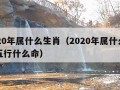 2020年属什么生肖（2020年属什么生肖五行什么命）