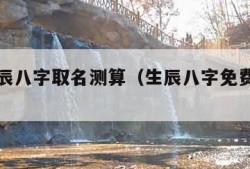 免费生辰八字取名测算（生辰八字免费取名测试）