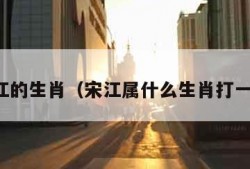 宋江的生肖（宋江属什么生肖打一肖）