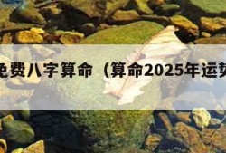 真正免费八字算命（算命2025年运势免费）