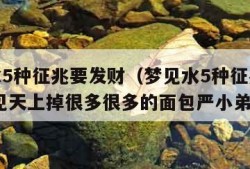 梦见水5种征兆要发财（梦见水5种征兆要发财,梦见天上掉很多很多的面包严小弟）