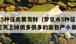 梦见水5种征兆要发财（梦见水5种征兆要发财,梦见天上掉很多很多的面包严小弟）