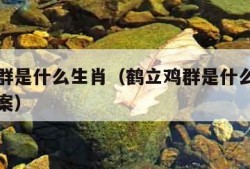 鹤立鸡群是什么生肖（鹤立鸡群是什么生肖请揭晓答案）