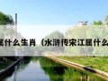 宋江属什么生肖（水浒传宋江属什么生肖）