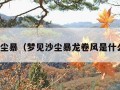 梦见沙尘暴（梦见沙尘暴龙卷风是什么意思）