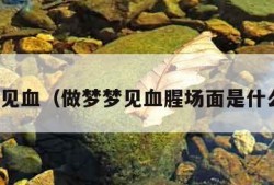 做梦梦见血（做梦梦见血腥场面是什么意思）