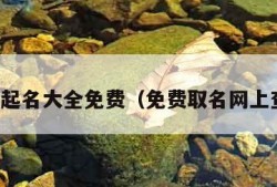 宝宝起名大全免费（免费取名网上查询）