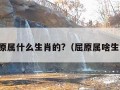 屈原属什么生肖的?（屈原属啥生肖）