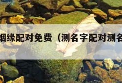 名字测姻缘配对免费（测名字配对测名字婚姻免费）