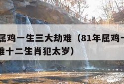 81年属鸡一生三大劫难（81年属鸡一生三大劫难十二生肖犯太岁）