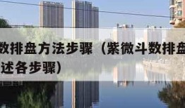 紫微斗数排盘方法步骤（紫微斗数排盘步骤总表 按下述各步骤）