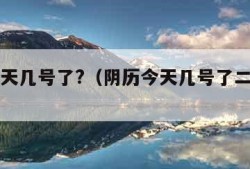 阴历今天几号了?（阴历今天几号了二十几了）