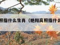 艳阳高照指什么生肖（艳阳高照指什么生肖动物）