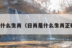 卯代表什么生肖（日肖是什么生肖正确答案）