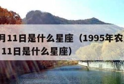 12月11日是什么星座（1995年农历12月11日是什么星座）