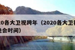 2020各大卫视跨年（2020各大卫视跨年晚会时间）