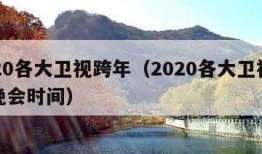 2020各大卫视跨年（2020各大卫视跨年晚会时间）