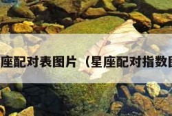 星座配对表图片（星座配对指数图）