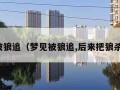 梦见被狼追（梦见被狼追,后来把狼杀死了）