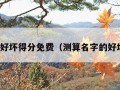 测名字好坏得分免费（测算名字的好坏免费）