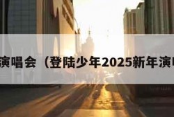 新年演唱会（登陆少年2025新年演唱会）