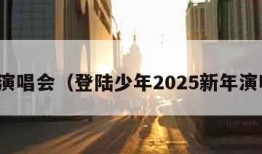 新年演唱会（登陆少年2025新年演唱会）