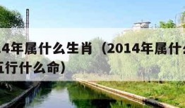 2014年属什么生肖（2014年属什么生肖五行什么命）