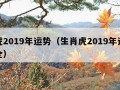 属虎2019年运势（生肖虎2019年运势大全）