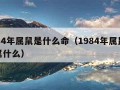 1984年属鼠是什么命（1984年属鼠五行属什么）