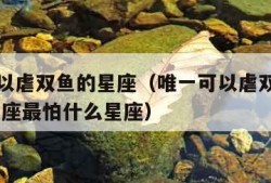 唯一可以虐双鱼的星座（唯一可以虐双鱼的星座 双鱼座最怕什么星座）