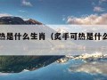 炙手可热是什么生肖（炙手可热是什么生肖答案）