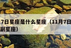 11月7日星座是什么星座（11月7日什么星座副星座）