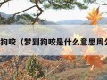 梦到被狗咬（梦到狗咬是什么意思周公解梦）