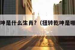 扭转乾坤是什么生肖?（扭转乾坤是哪个生肖）