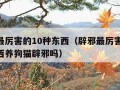 辟邪最厉害的10种东西（辟邪最厉害的10种东西养狗猫辟邪吗）