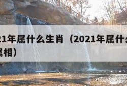 2021年属什么生肖（2021年属什么生肖属相）