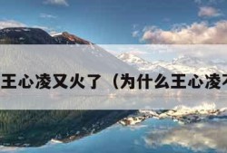 为什么王心凌又火了（为什么王心凌不火了）
