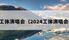 工体演唱会（2024工体演唱会）