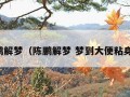 陈鹏解梦（陈鹏解梦 梦到大便粘身上）