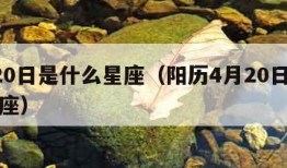 4月20日是什么星座（阳历4月20日是什么星座）