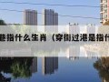 穿街过巷指什么生肖（穿街过港是指什么生肖）