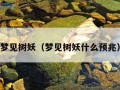 梦见树妖（梦见树妖什么预兆）